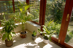 Great Green orangery quotes